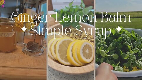 Making a Ginger Lemon Balm Syrup for the Cold and Flu Season