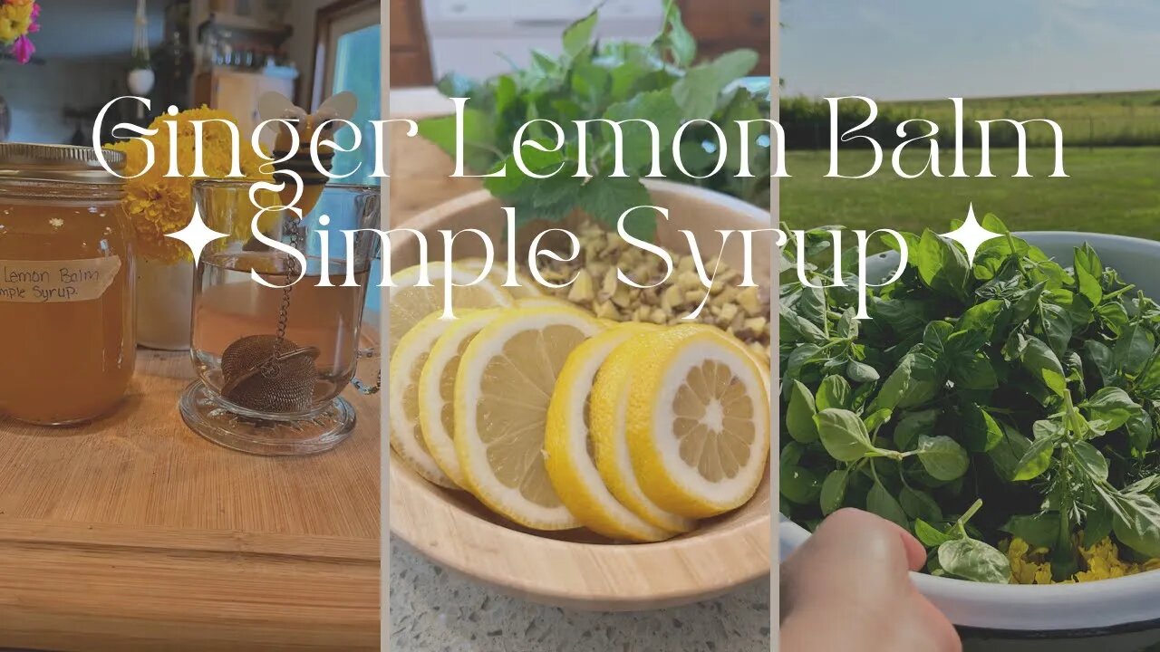 Making a Ginger Lemon Balm Syrup for the Cold and Flu Season