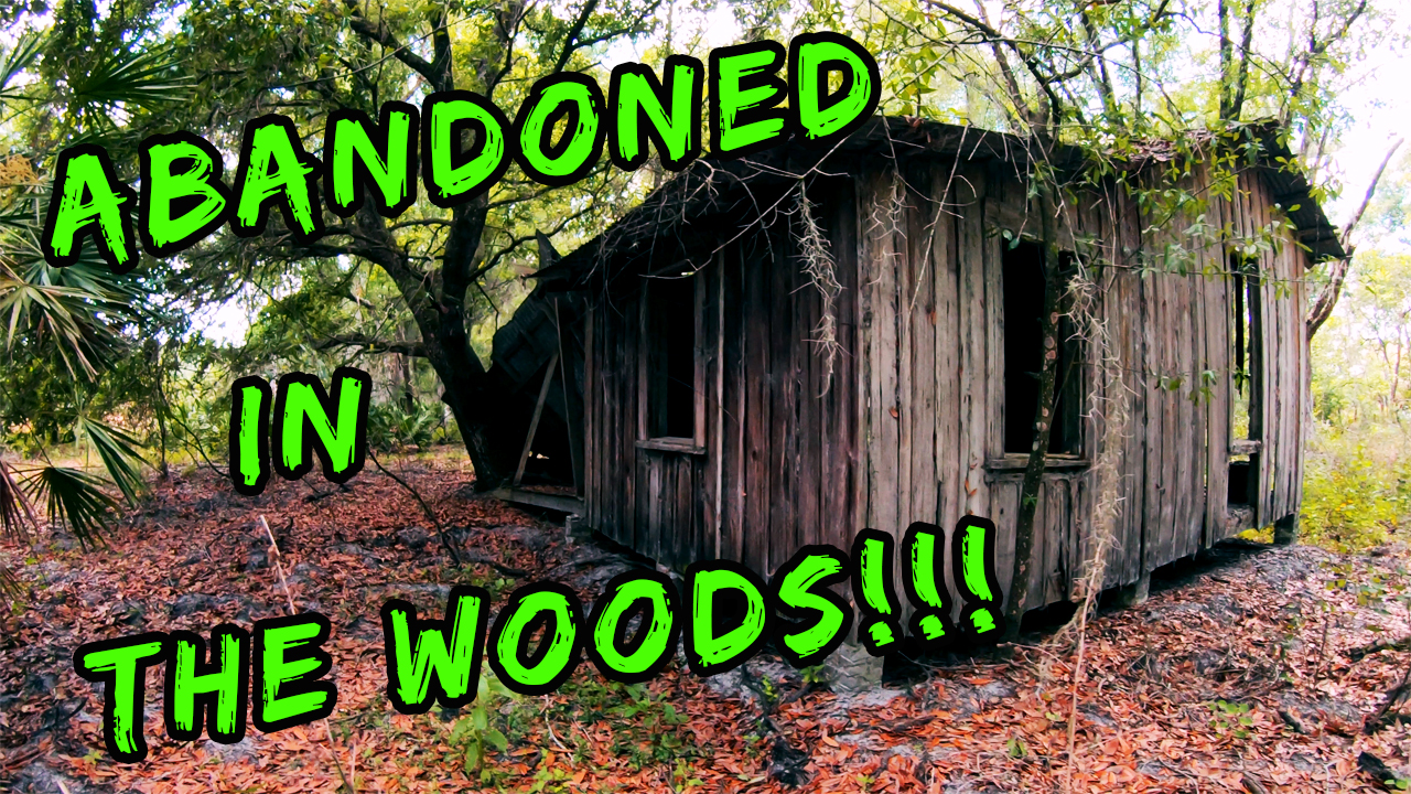 Abandoned Homestead Found in the Woods!!!