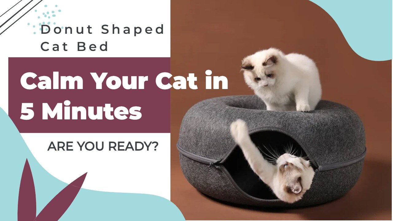 How to Calm Your Cat in 5 Minutes with the Donut Shaped Cat Bed for Instant Relaxation!