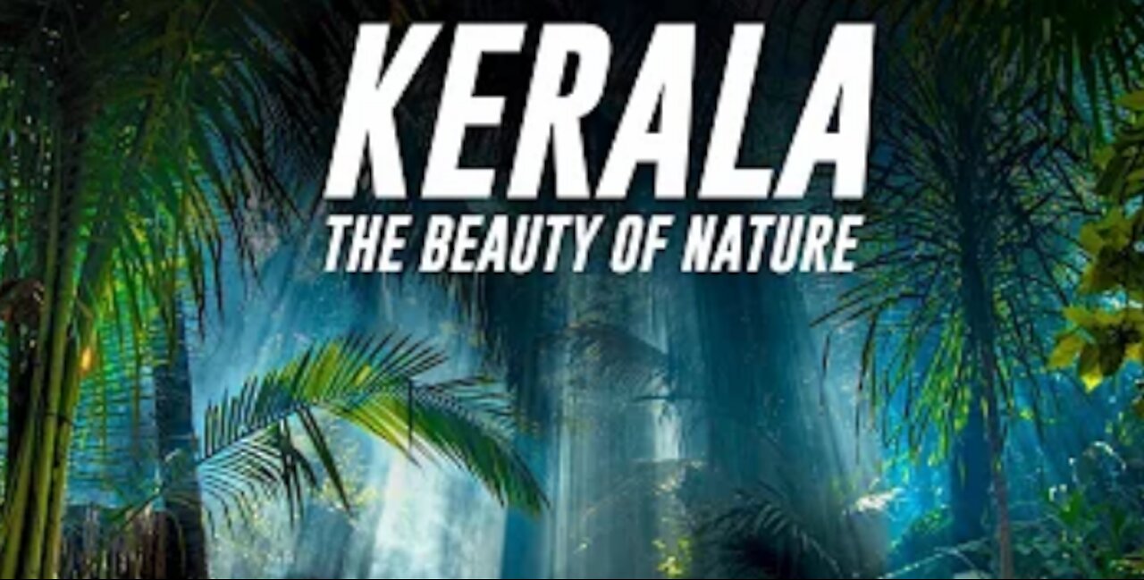 Kerala - The Real Beauty of Nature 4K! - Cinematic Video