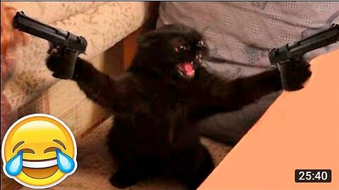 🐈🐱🐕 Funniest Animals 2023 - Funniest Cats and dog funny video 🐕🐈🐱 episode 23