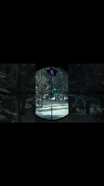 He dident see that coming #callofthewild #cotw #game #mrandmrswolfgaming #shorts