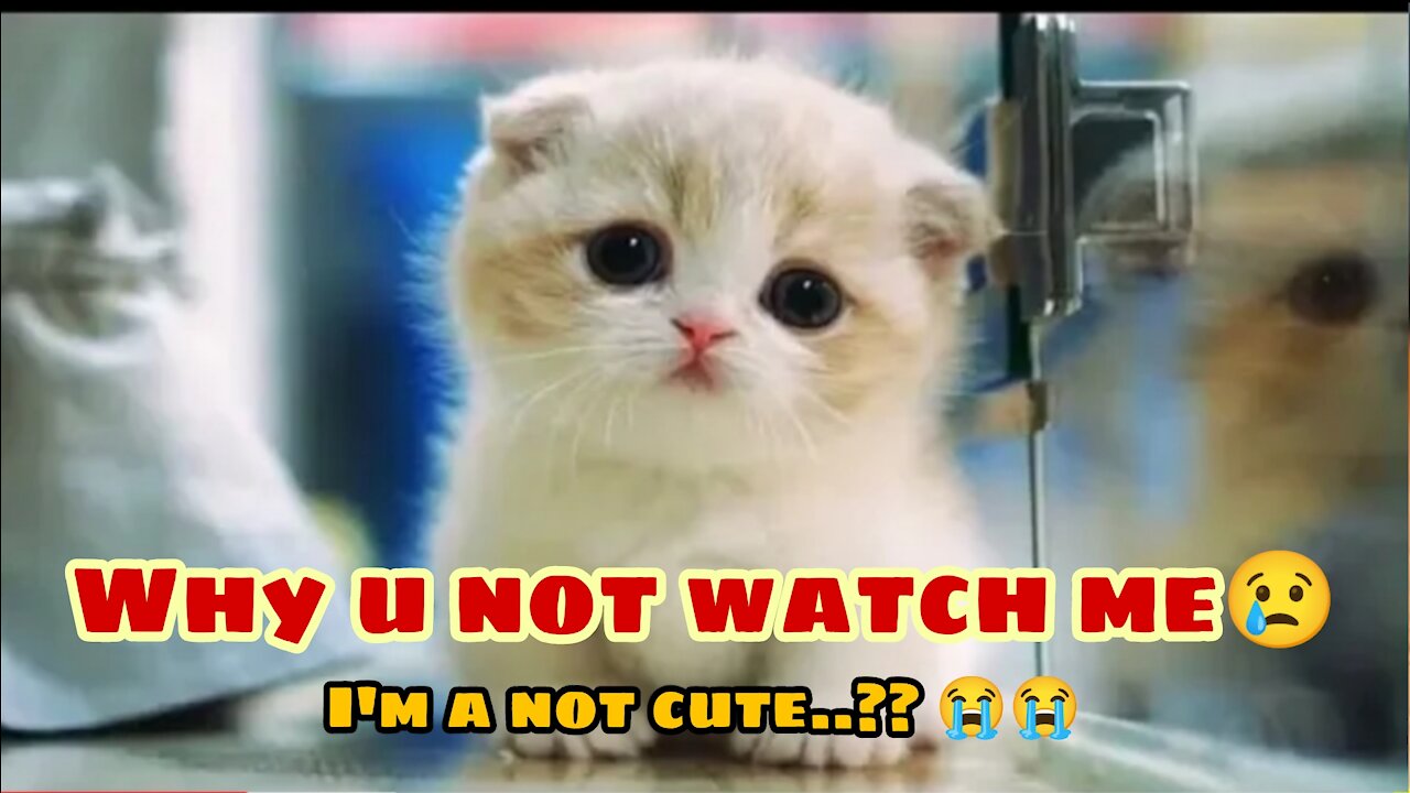 World's most Cute Baby Animals Videos Compilation ♥ Best Funny Pets Videos ever