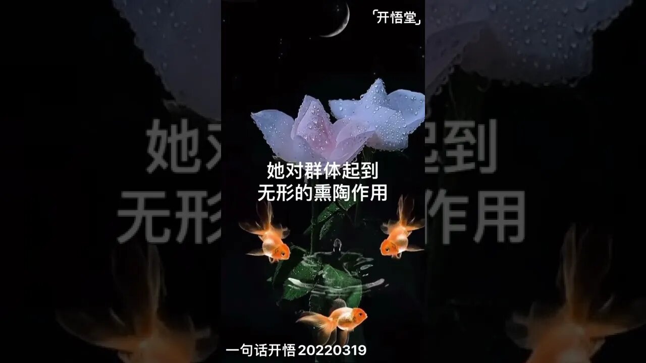 一句话开悟20220319