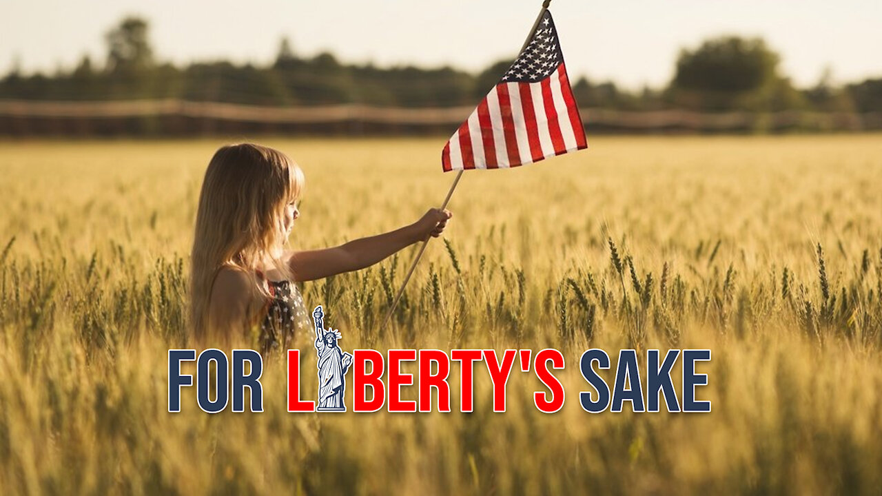 For Liberty's Sake - Living In A Divided States Of America