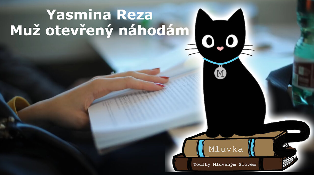 Yasmina Reza - Muž otevřený náhodám (Mluvené slovo CZ)