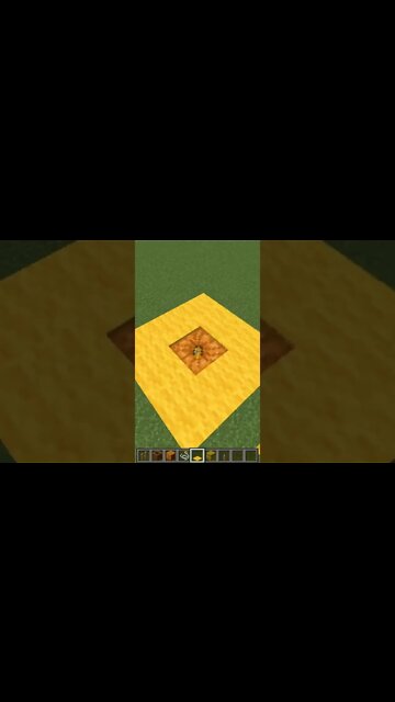Minecraft #tiktok #Shorts