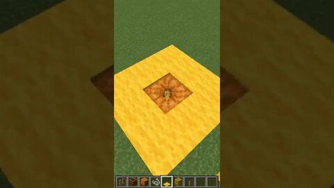 Minecraft #tiktok #Shorts
