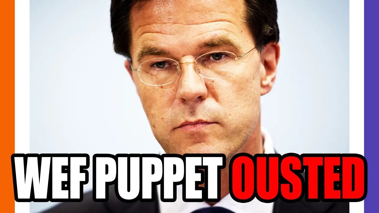 The Dutch Oust Their WEF Puppet Government 🟠⚪🟣 NPC Global