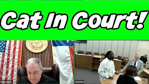 Wild Court Moments #239