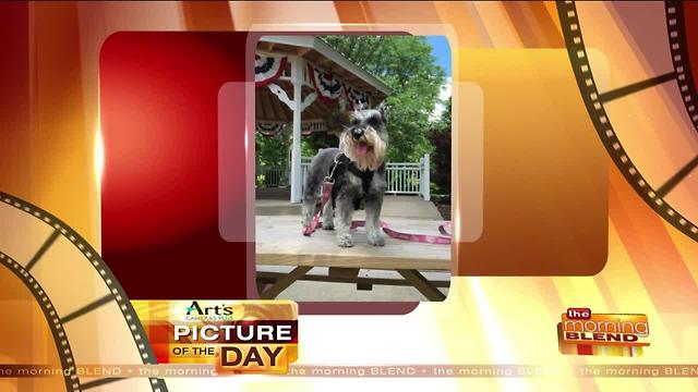 Art's Cameras Plus Picture of the Day for July 17!