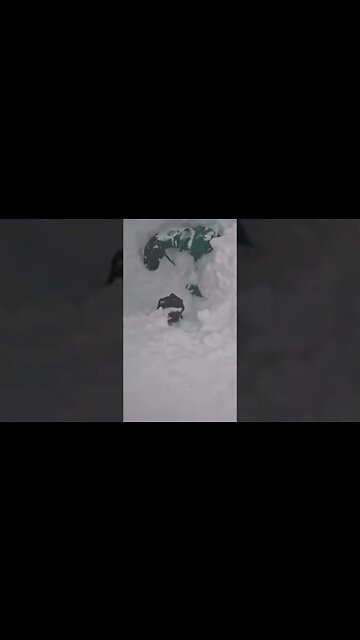 SHOCKING: Snowboarder Saved after Buried in Snow