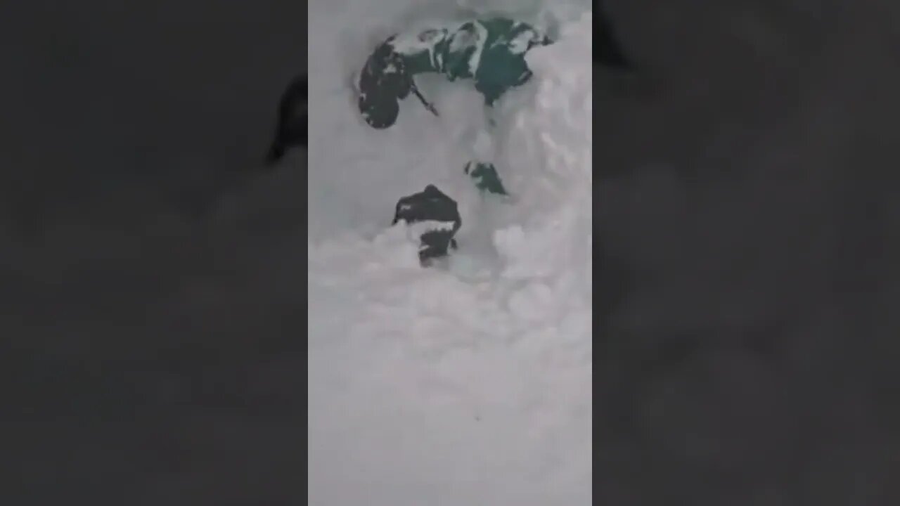 SHOCKING: Snowboarder Saved after Buried in Snow
