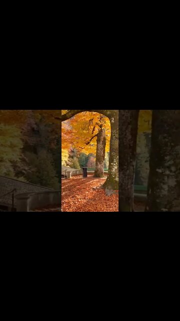 🌏🛡⚔🏕 Eduque as crianças e não será necessário punir os homens.