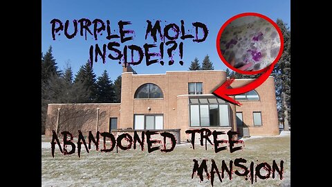 PURPLE MOLD IN THE BASEMENT?!? - ABANDONED TREE MANSION!