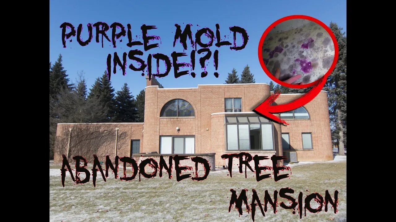 PURPLE MOLD IN THE BASEMENT?!? - ABANDONED TREE MANSION!