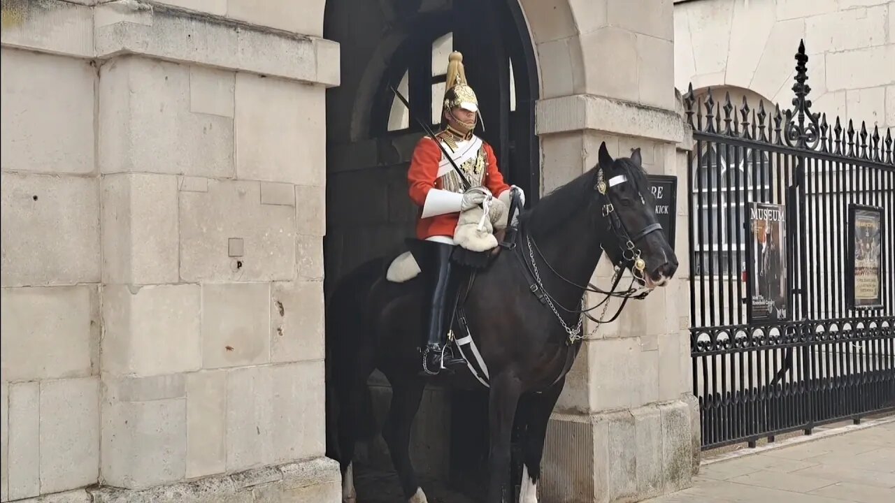 Horse's talking to each other #horseguardsparade
