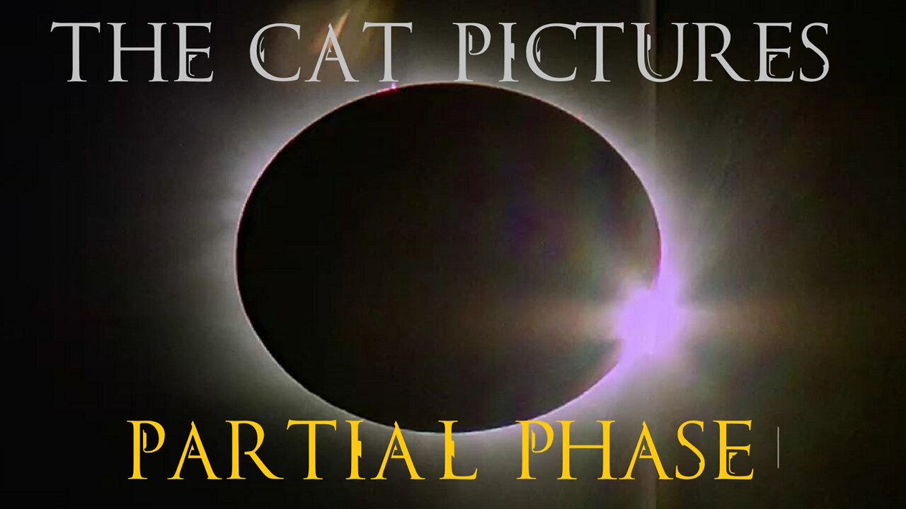 The Cat Pictures - Partial Phase