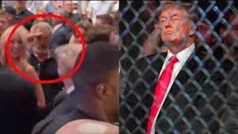 Dems Outraged After Mel Gibson Salutes President Donald Trump at UFC Event