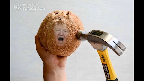 The Ultimate Donald Trump Coconut Meme! 🥥