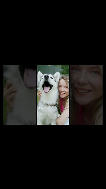 Hero the Unbeatable Husky#shorts