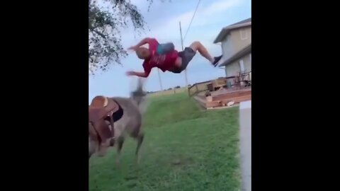 Funny video
