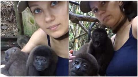These woolly monkeys are ready for a nap