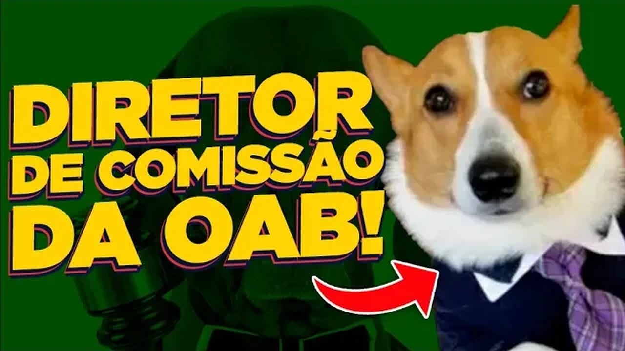 CACHORRO VIROU DIRETOR DA OAB!