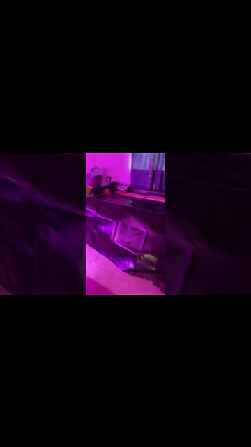 You do you and I’ll feed the world #feed #aquaponics #farmer #selfmade #selfsustainable