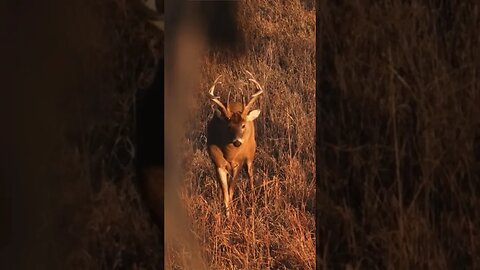 Bowhunting Heartbreak!