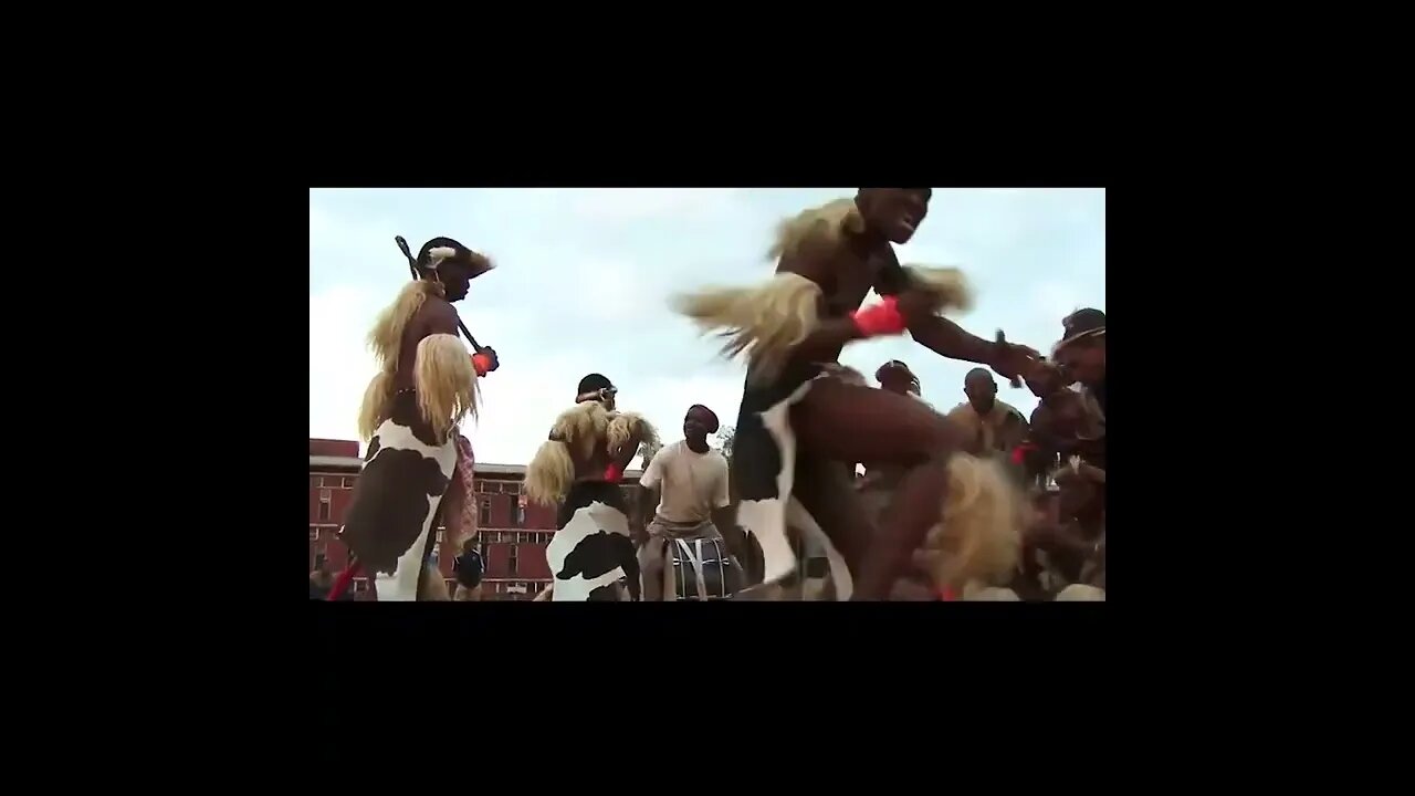 ZULU WARRIOR DANCE - MZANSI #Shorts