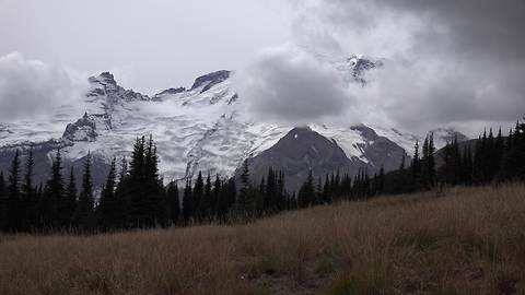 Mt. Rainier National Park, Washington, USA