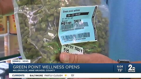 Green Point Wellness Opens