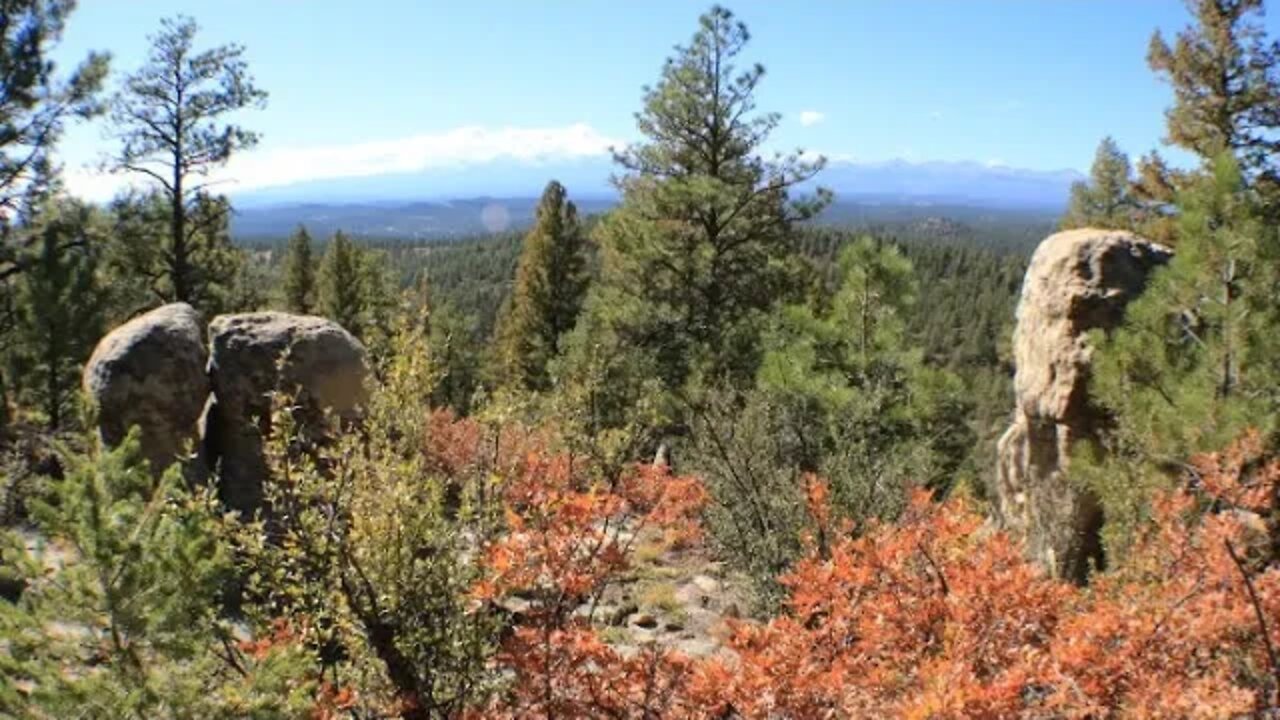 39 Acres Bordering Spanish Peaks Wildlife Area with Insane Views