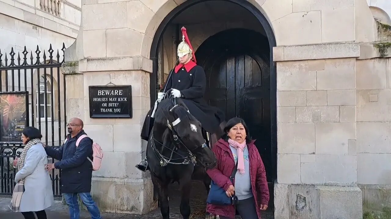 Touch the reins you get biten #horseguardsparade