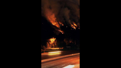 Wild Fire