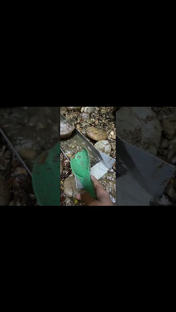 Using a sluice box to find gold!