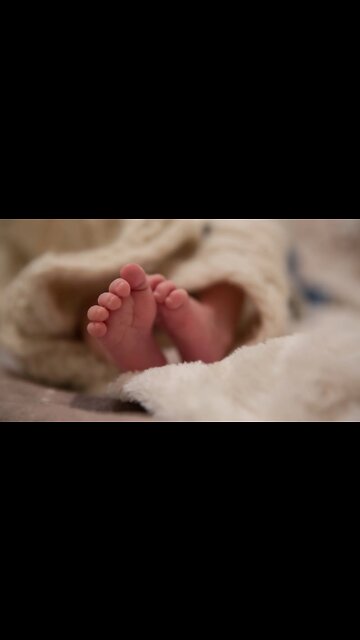 Baby Walker - Melhor suporte para bebês para alunos