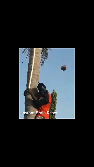 Instant Brain Reset Device! 🤣 #Bantasticfun #Shorts #ytshorts #Funny #Comedy #gags #entertainment