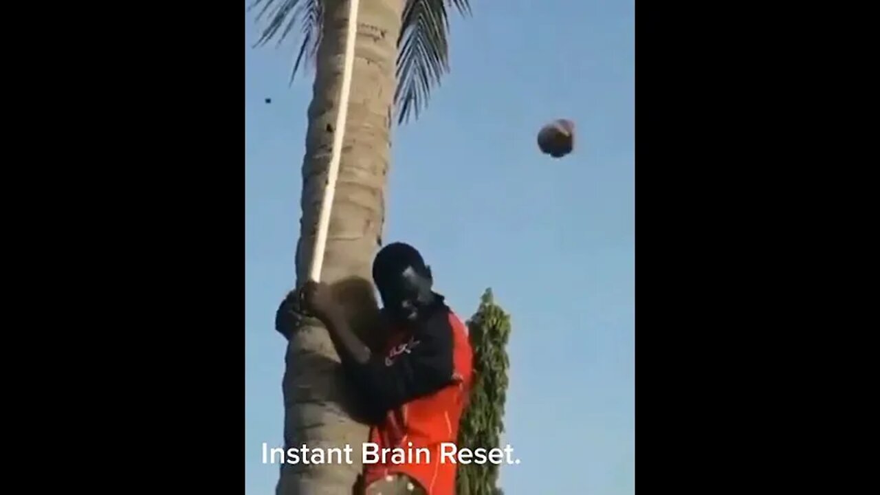 Instant Brain Reset Device! 🤣 #Bantasticfun #Shorts #ytshorts #Funny #Comedy #gags #entertainment