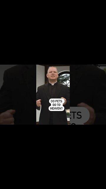 Do pets go to heaven? #livingdivinemercy #ewtn #animals #pets #christian #catholic