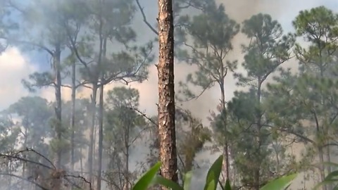 Fighting fires with fire