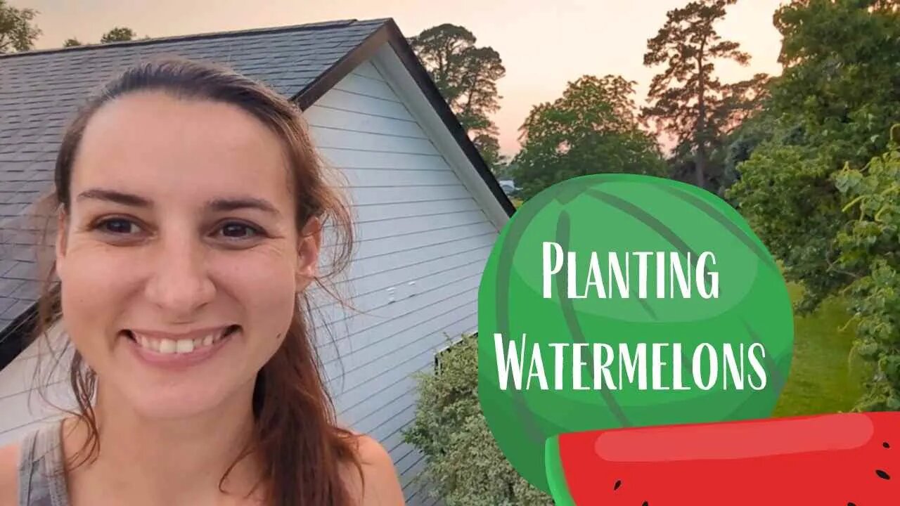 Planting Watermelons & Checking On Lottie