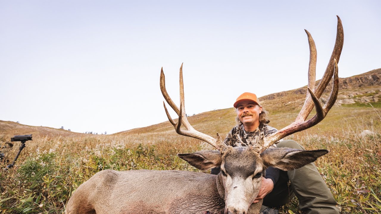 Wyoming Backcountry Mule Deer hunt. | Rifle season | 2020