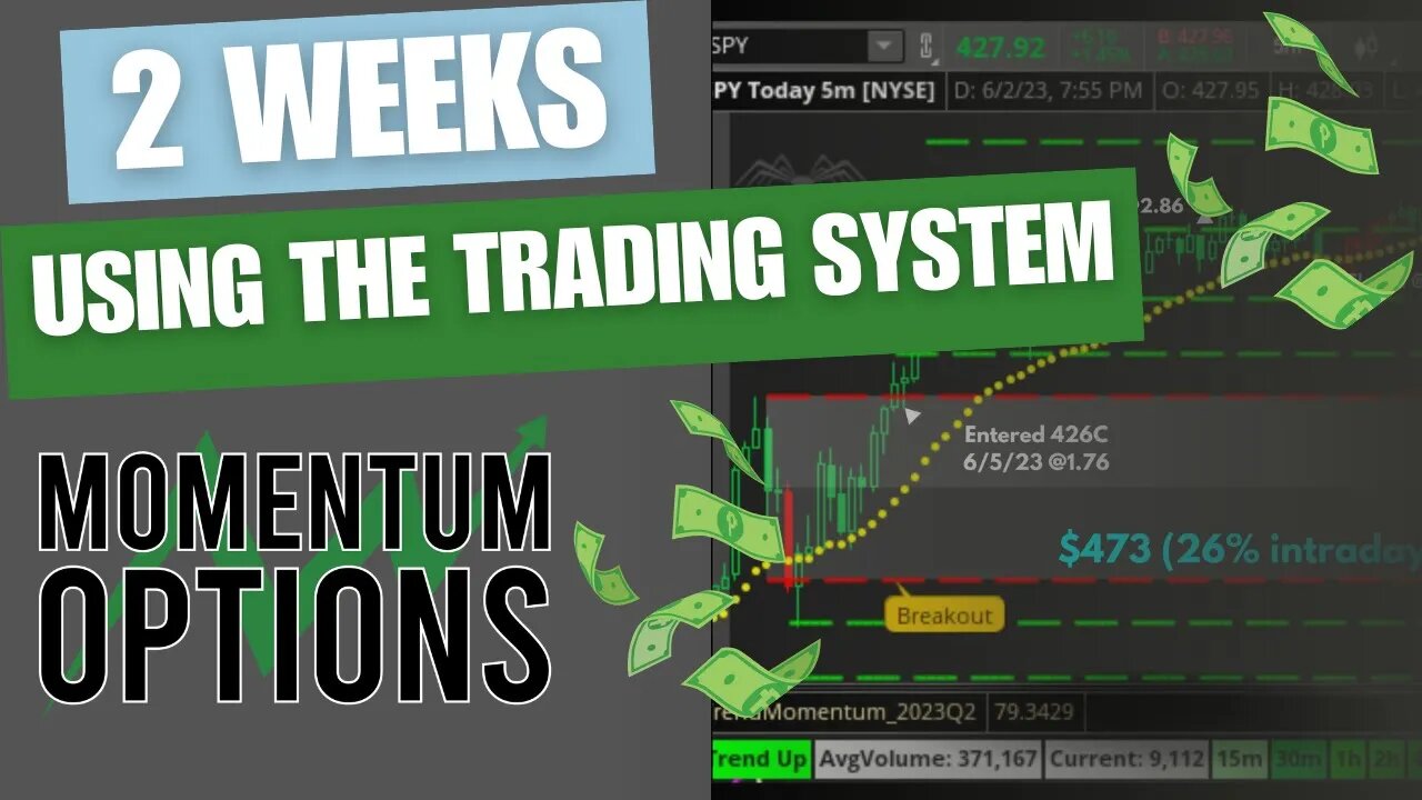 Case Study: Two Weeks With The Momentum Options Trading System