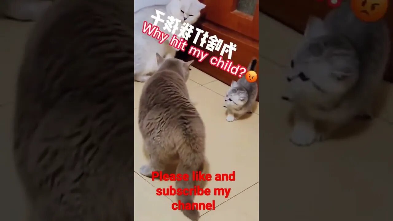 #youtubeshorts subcribe my channel🙏❤️👈