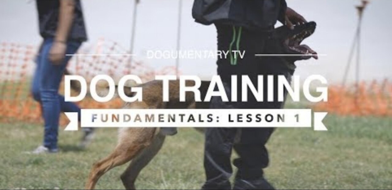 DOG TRAINING FUNDAMENTALS: LESSON 1