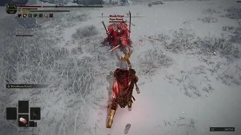 Elden Ring - Mohgwin's Sacred Spear Vs Dual Blood Cross-Naginata's - Co-operator (Bandit) PC