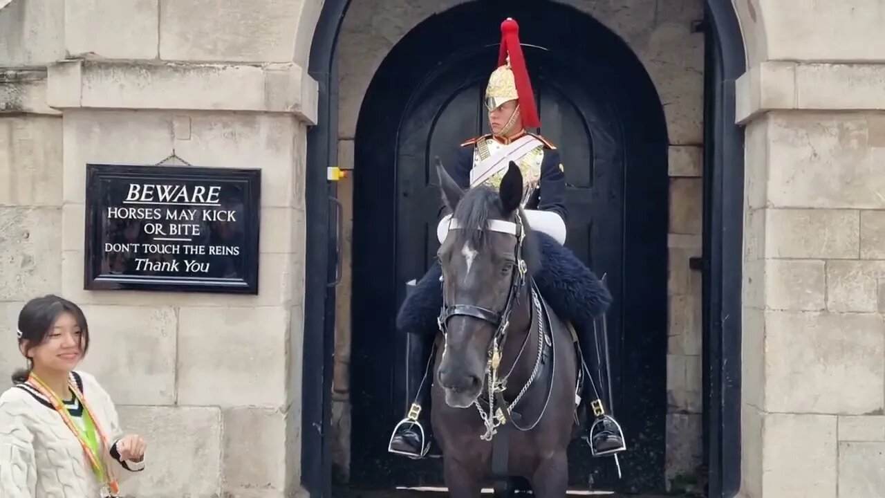 No respect getting their picture #horseguardsparade